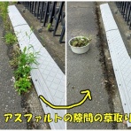happy-go-lucky　-心地いい暮らしのコツ-