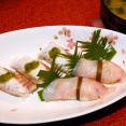 鱪（シイラ）料理