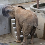 砥愛ちゃん、まだまだ上っています！下りています！