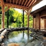 本気で温泉に治療効果や疲労回復効果があると思ってるヤツｗｗｗ