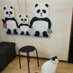 天狗湯､ご案内・西荻窪南口徒歩7分・高四小斜め前・火曜,金曜休業日・open15:45~close23:45・手ぶらセットが好評です。