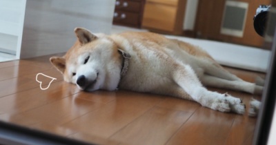 無事のお留守番♪