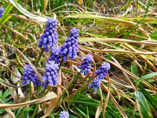 山あり谷あり、曲がりくねった道を進め