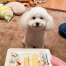 信用を失う7つの行動