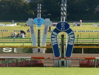 【枠順確定】第21回ヴィクトリアマイル(GⅠ)/ エンブロイダリー6枠12番、カムニャック4枠8番