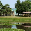 水面（みなも）に浮かぶ花。五日月。