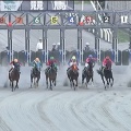 8/8 川崎 翡翠賞ダ1500m【ボールドポリシー《3戦目》】