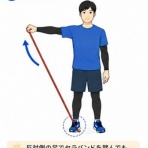 マラソン膝関節外科医のブログ