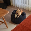 そろそろ時効？