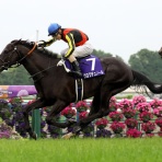☆うまなみ・競馬にゅーす速報