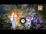 DDON レベル上げとAP稼ぎ（ダウ渓谷）