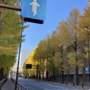 神田警察通り、なぜ住民を苦しめてしまったのか　　　　ー反省その1ー