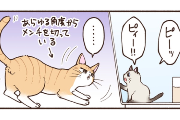 田中ポ子とゆかいな仲間たち - このちゃん出会いと成長