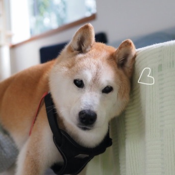 頼りになります♪
