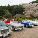 ブロンプトンで東秩父村周辺の桜