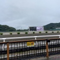 2026年一人旅打ちまとめ　競馬編🐴