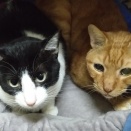 懐かしい2ショット