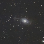 のんたの星のブログ