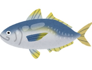 ｢アジって全然青くないのに青魚？｣→理由がコレで一同納得