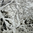 ムン・キョンウォン＆チョン・ジュンホ 展 @ SCAI PIRAMIDE （11月’25）