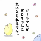『けーちゃんがおじちゃんに気に入られるワケ。』の画像