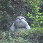 哲学ニュースnwk