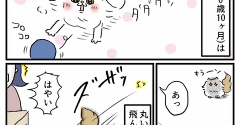 まるいものに目がない猫