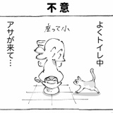 うちの犬のルカ。【８８】