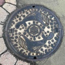 20枚目　高知県高知市　クジラ　100万円のインコを探しに行く