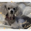 挑戦者に幸あれ。