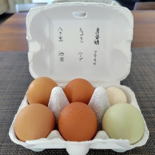 自己ベスト更新中