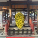 メゾンカルチャークラブ上尾テニススクールblog