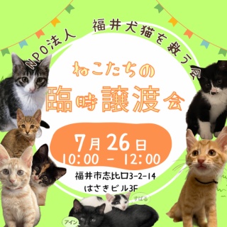 NPO法人 福井犬猫を救う会