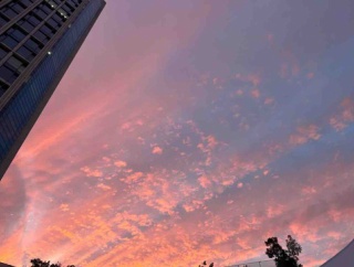 2025年11月　楽天セール、お買い物マラソンで買うもの買ったもの