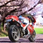 SECRET BASE RACING