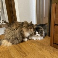 愛が深過ぎる