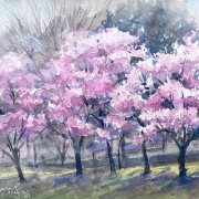 オカメ桜スケッチ🌸＆3月のライブ配信は桜を描きました🌸