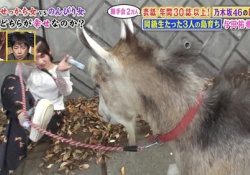 【衝撃】与田祐希×ごんぞう、怖すぎワロタｗｗｗ