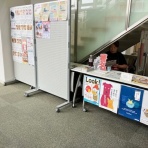 うさぎのきた道