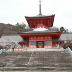 小林玲子の善光寺表参道日記
