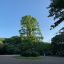 日曜散歩(=ﾟωﾟ)ﾉ