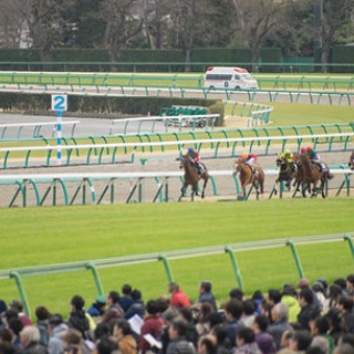 ☆うまなみ・競馬にゅーす速報