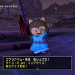 ドラゴンクエスト10 ～魚の陸上生活～