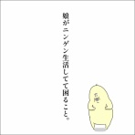 地球の住民M子ママの日常。