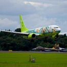 SOLASEED AIR B737 ナッシージェット ～鹿児島空港にて～