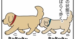 エフ漫画『スリップストリーム』