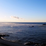 土佐料理　旬の鰹がゆく！