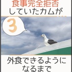 カムホーム kamuhome