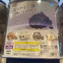 見つけた(☆ω☆)