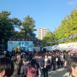 『膝小僧は擦りむくものなんだ』の画像